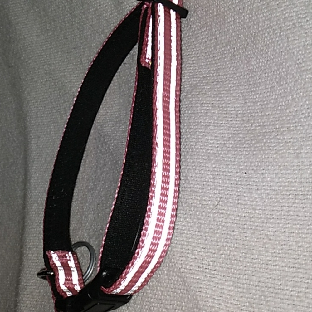 Puppy or small dog collar